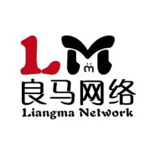 世迅网络科技 驱动数字化未来的创新引擎